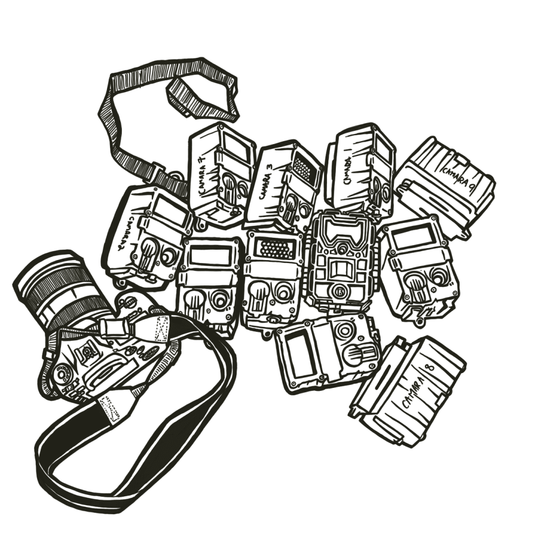 Illustration in black and white