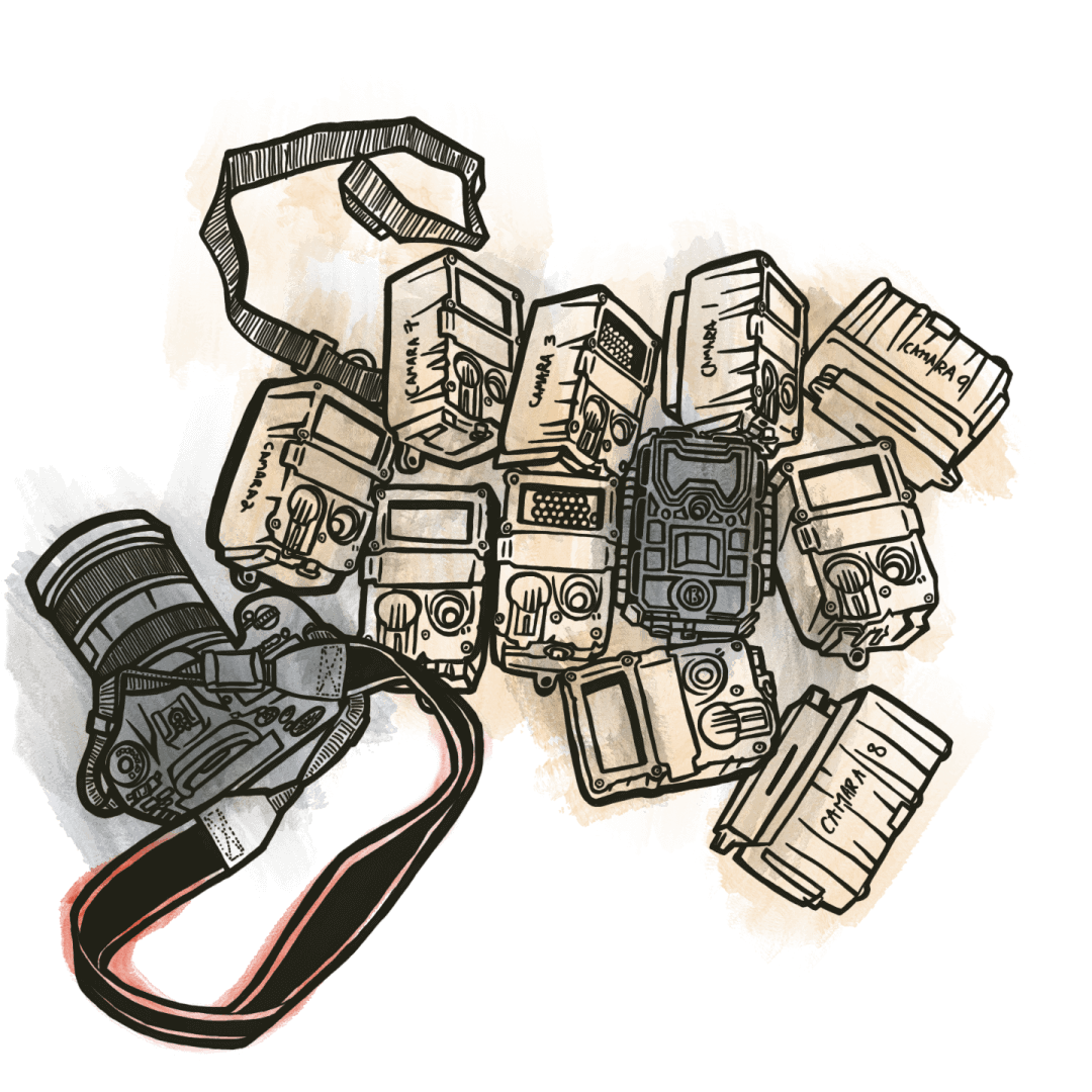 Illustration in color